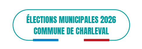 LOGO-ELECTIONS